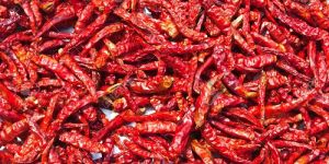 Dried Red Chilli