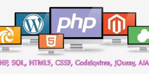 Magento Development Services