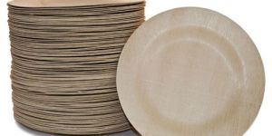 Disposable Biodegradable Paper Plates