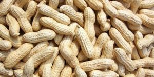 Shelled Groundnuts