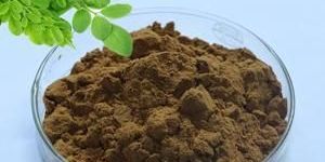 Moringa Leaf Powder