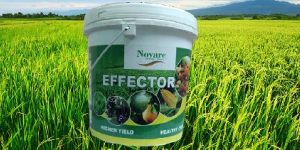 Roasted Bentonite Coated Granules