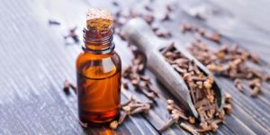 Clove Oil