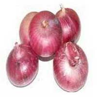 Red Onion