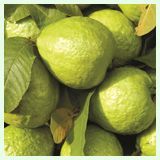 Pink Guava Pulp
