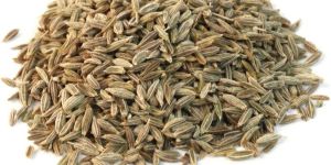 Cumin Seeds