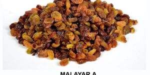 Malayar a Raisins