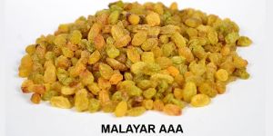 Malayar AAA Raisins