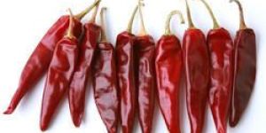 Dried Red Chilli