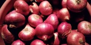 Onions