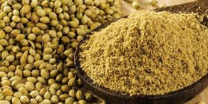 Coriander Powder