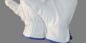 EW-DC71 Driving Gloves