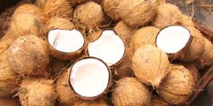 Fresh Brown Coconut