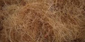 Coconut Fiber