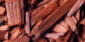Red Sandalwood