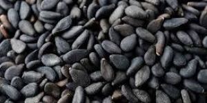 Sesame Seeds