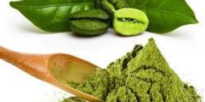 Green Coffee Beans Extract