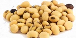 Soya Beans