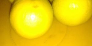 Fresh Lemons