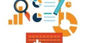 Seo Consultation Service