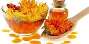 Calendula Oil