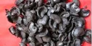 Cashew Nut Shell