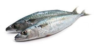Sardines Fish