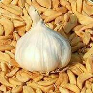 Dehydrated Garlic