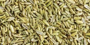 Fennel Seeds