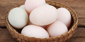 Duck Hatching Eggs