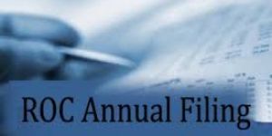 ROC Filing Services
