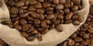 Roasted Arabica Coffee Beans