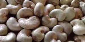 Raw Cashew Nuts
