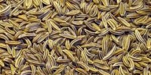 Cumin Seeds