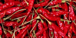 Dried Red Chilli
