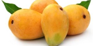 Fresh Alphonso Mango