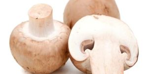 Fresh Mushroom