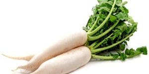 Fresh Radish
