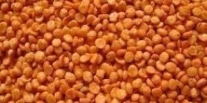Fried Chana Dal Namkeen