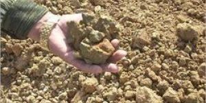 Bentonite Granules