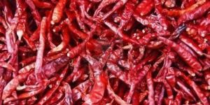 S-10 Dried Red Chilli
