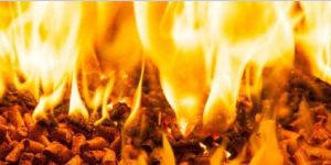 Pellet Fuel