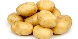 Potato