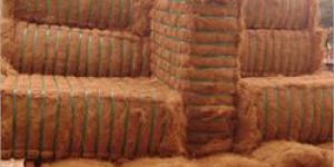 Coir Fiber