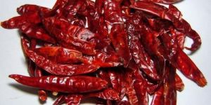 Dry Red Chilli