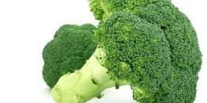 Fresh Broccoli