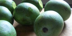 Raw Rajapuri Mangoes