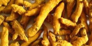 Turmeric Finger