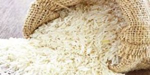 Basmati Rice
