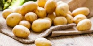 Potato
